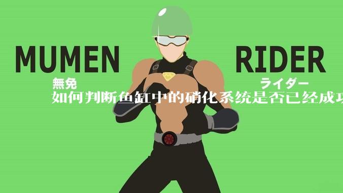 如何判断鱼缸中的硝化系统是否已经成功建立？