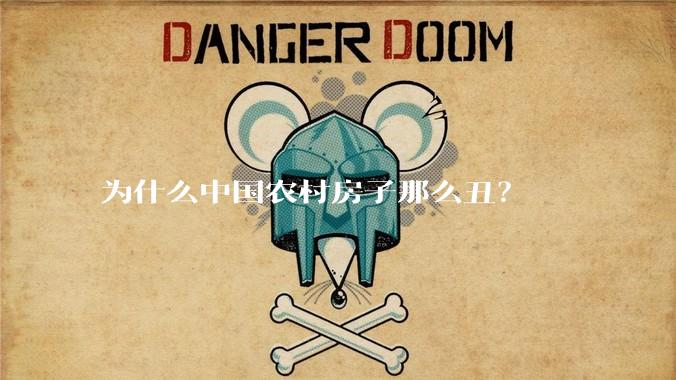 为什么中国农村房子那么丑？